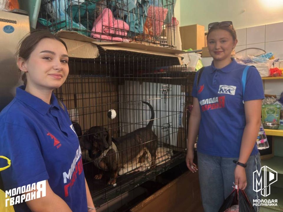 Поможем братьям меньшим. Молодёжка Горловки посетили приют для животных «Карма» Волонтёры передали корма и другие необходимые вещи, а также сделали уборку в вольерах и на территории