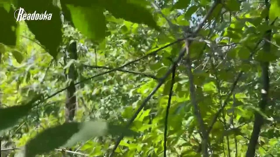 Самый опасный автобусный маршрут в России находится в Горловке…