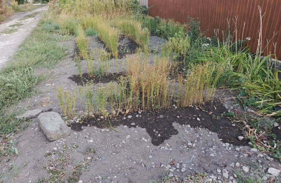 Роман Конев: Во исполнение указания Главы Донецкой Народной Республики Дениса Владимировича Пушилина и для рассмотрения жалоб от населения, сегодня, 28 августа, в поселке Центрально-Городского района Горловки была проведена... Роман Конев: Во исполнение указания Главы Донецкой Народной Республики Дениса Владимировича Пушилина и для рассмотрения жалоб от населения, сегодня, 28 августа, в поселке Центрально-Городского района Горловки была проведена...