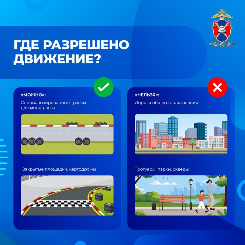 Все, что нужно знать о поездках на питбайках Все, что нужно знать о поездках на питбайках