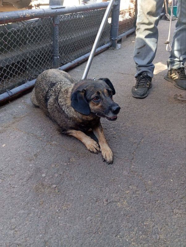 Роман Конев: МУНИЦИПАЛЬНОЕ УНИТАРНОЕ ПРЕДПРИЯТИЕ «ПРОСТОР» АДМИНИСТРАЦИИ ГОРОДСКОГО ОКРУГА ГОРЛОВКА ДОНЕЦКОЙ НАРОДНОЙ РЕСПУБЛИКИ Роман Конев: МУНИЦИПАЛЬНОЕ УНИТАРНОЕ ПРЕДПРИЯТИЕ «ПРОСТОР» АДМИНИСТРАЦИИ ГОРОДСКОГО ОКРУГА ГОРЛОВКА ДОНЕЦКОЙ НАРОДНОЙ РЕСПУБЛИКИ