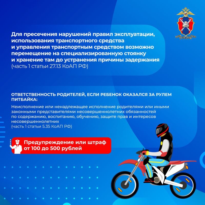 Все, что нужно знать о поездках на питбайках Все, что нужно знать о поездках на питбайках