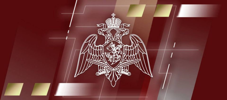Начали работу официальные сайты территориальных органов Росгвардии в новых регионах