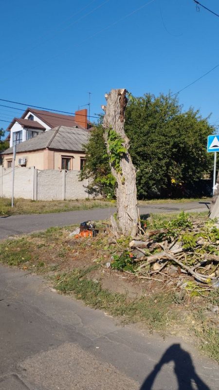 Сергей Скиданов: 29 августа на встрече с жителями посёлка "Гладковка" были озвучены проблемные вопросы Сергей Скиданов: 29 августа на встрече с жителями посёлка "Гладковка" были озвучены проблемные вопросы