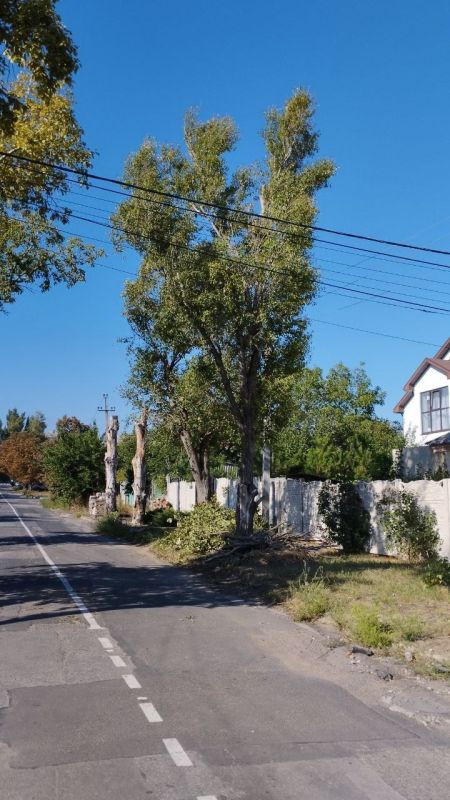 Сергей Скиданов: 29 августа на встрече с жителями посёлка "Гладковка" были озвучены проблемные вопросы Сергей Скиданов: 29 августа на встрече с жителями посёлка "Гладковка" были озвучены проблемные вопросы