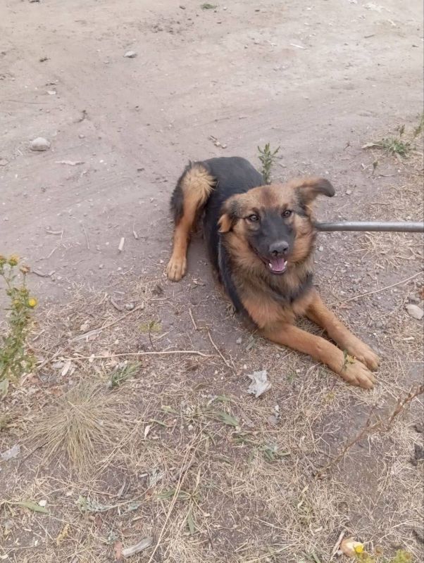 Роман Конев: МУНИЦИПАЛЬНОЕ УНИТАРНОЕ ПРЕДПРИЯТИЕ «ПРОСТОР» АДМИНИСТРАЦИИ ГОРОДСКОГО ОКРУГА ГОРЛОВКА ДОНЕЦКОЙ НАРОДНОЙ РЕСПУБЛИКИ Роман Конев: МУНИЦИПАЛЬНОЕ УНИТАРНОЕ ПРЕДПРИЯТИЕ «ПРОСТОР» АДМИНИСТРАЦИИ ГОРОДСКОГО ОКРУГА ГОРЛОВКА ДОНЕЦКОЙ НАРОДНОЙ РЕСПУБЛИКИ