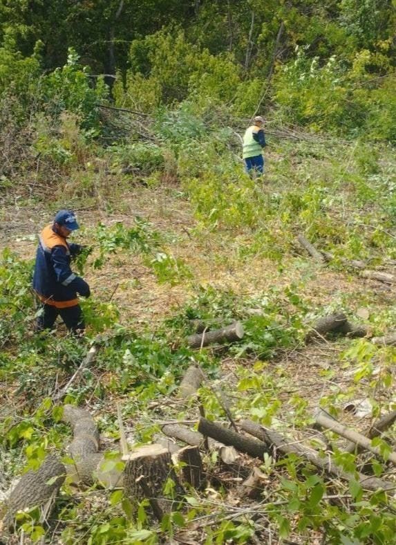 МУП «Простор» ежедневно выполняет все необходимые работы по содержанию городских улиц МУП «Простор» ежедневно выполняет все необходимые работы по содержанию городских улиц