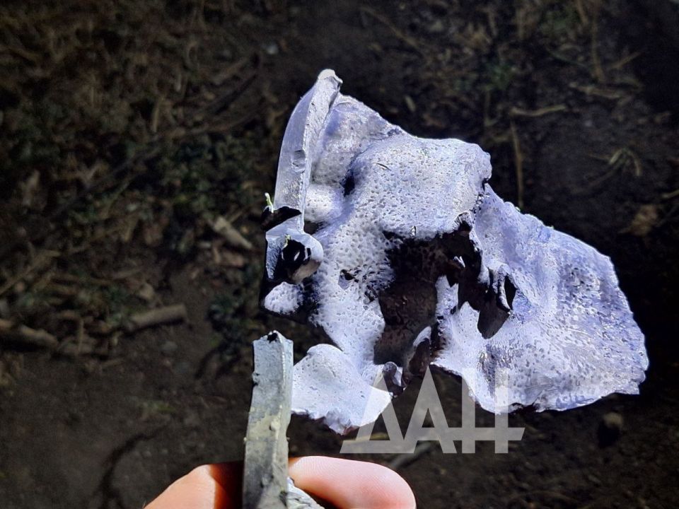 Эдуард Басурин: Украинские боевики вновь обстреляли из натовского оружия центральные районы Донецка и Горловки Эдуард Басурин: Украинские боевики вновь обстреляли из натовского оружия центральные районы Донецка и Горловки