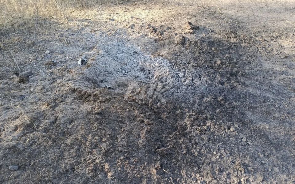  :            88 (-  )