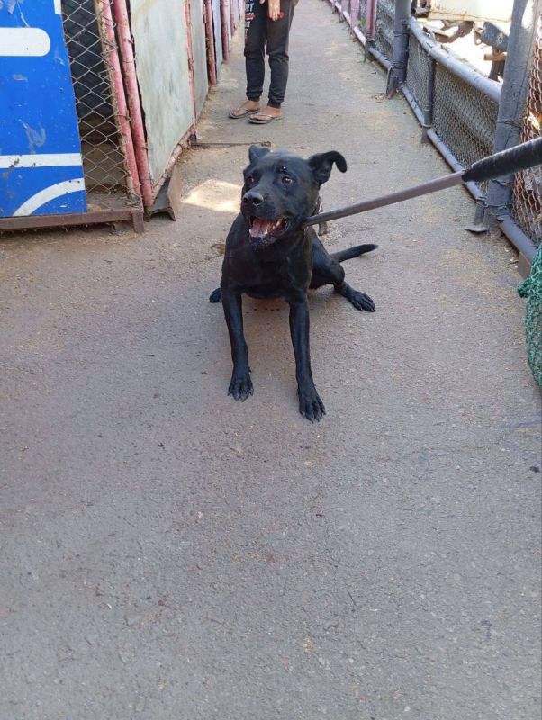 Роман Конев: МУНИЦИПАЛЬНОЕ УНИТАРНОЕ ПРЕДПРИЯТИЕ «ПРОСТОР» АДМИНИСТРАЦИИ ГОРОДСКОГО ОКРУГА ГОРЛОВКА ДОНЕЦКОЙ НАРОДНОЙ РЕСПУБЛИКИ Роман Конев: МУНИЦИПАЛЬНОЕ УНИТАРНОЕ ПРЕДПРИЯТИЕ «ПРОСТОР» АДМИНИСТРАЦИИ ГОРОДСКОГО ОКРУГА ГОРЛОВКА ДОНЕЦКОЙ НАРОДНОЙ РЕСПУБЛИКИ