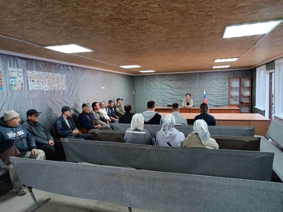  :   . 17  2025          -  ,  ,  ,  ,  ,  ...