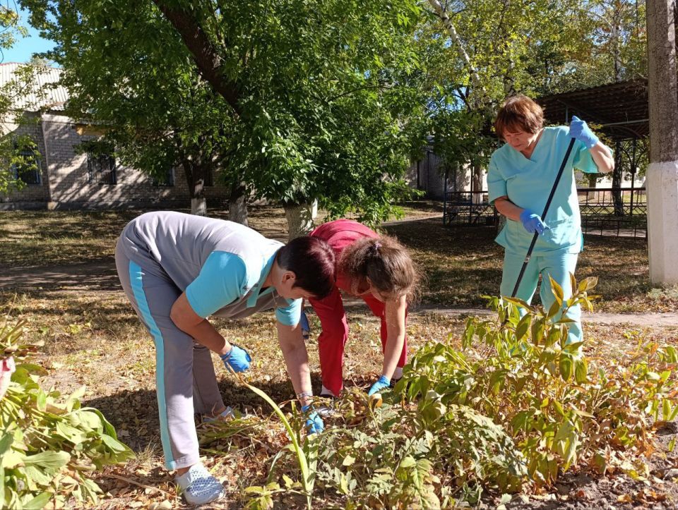 ���� ���������: �������� ������ ������ ����������-���������� ������ �������� ������������ ������ ���������� �����