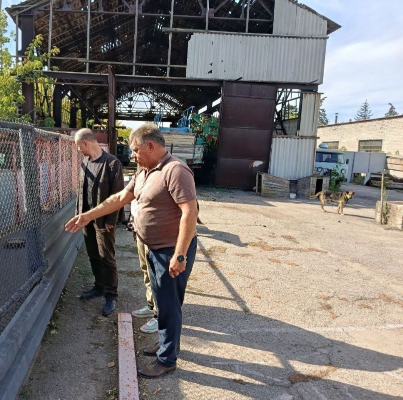 Роман Конев: В Горловке реализуется партийный проект Единой России «Защита животного мира» Роман Конев: В Горловке реализуется партийный проект Единой России «Защита животного мира»