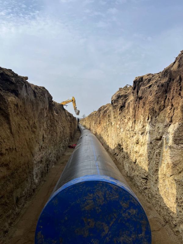 ����� �������: ��� 43 ��������� � ������������ ���������� ������������ ������� ����� � �������� ����������