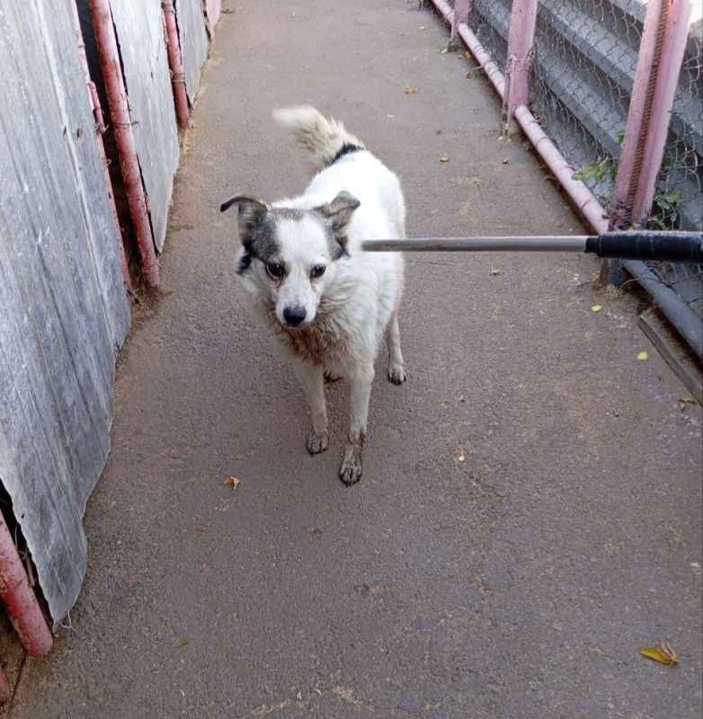 Роман Конев: МУНИЦИПАЛЬНОЕ УНИТАРНОЕ ПРЕДПРИЯТИЕ «ПРОСТОР» АДМИНИСТРАЦИИ ГОРОДСКОГО ОКРУГА ГОРЛОВКА ДОНЕЦКОЙ НАРОДНОЙ РЕСПУБЛИКИ Роман Конев: МУНИЦИПАЛЬНОЕ УНИТАРНОЕ ПРЕДПРИЯТИЕ «ПРОСТОР» АДМИНИСТРАЦИИ ГОРОДСКОГО ОКРУГА ГОРЛОВКА ДОНЕЦКОЙ НАРОДНОЙ РЕСПУБЛИКИ
