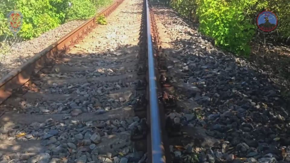 Под прицелом дронов: за неделю "Купол Донбасса" предотвратил 623 атаки беспилотников