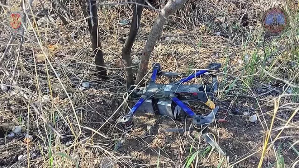 "Купол Донбасса" за неделю предотвратил 623 террористические атаки, над Донецком и Макеевкой сбиты 430 БПЛА, над Горловкой - 193, сообщил глава ДНР Пушилин