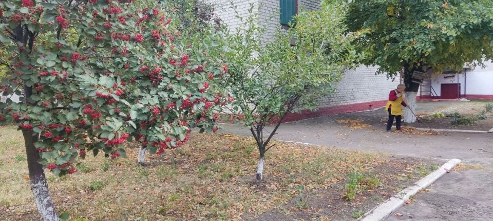 ���� ���������: � ����������� ��������������� ������ ������ �������� ������������ ���������� ��������� ������ ������ ������ ���������� �����