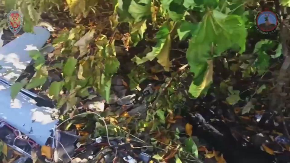 Система РЭБ «Купол Донбасса» за неделю перехватила 623 БПЛА ВСУ в ДНР