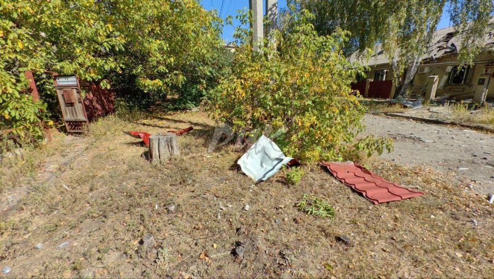 ���� ���������: ����������� ���������� ����������� ��������