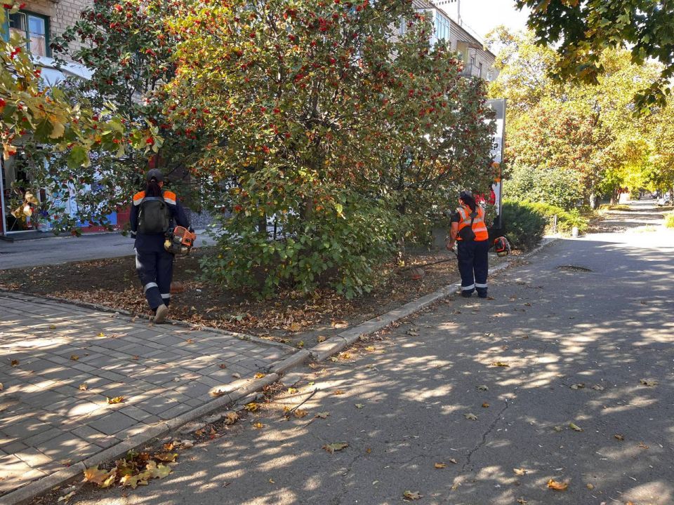 ��� �������� ��������� ��������� ��� ����������� ������ �� ���������� ��������� ����