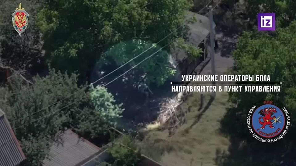 Подразделение УФСБ России по ДНР "Горыныч" уничтожило позиции операторов БПЛА ВСУ под Константиновкой