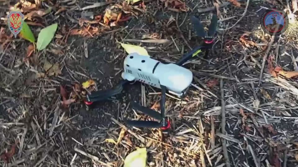 Управление ФСБ России по ДНР показало, как "Купол Донбасса" сбил 760 дронов ВСУ за неделю