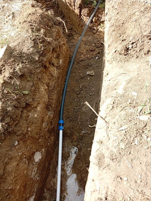 ���� ���������: ������������ ������� �������� ����� �������� � ������������ �� �������� ���������� �� ����������� ����������� ������ ���� � ��������