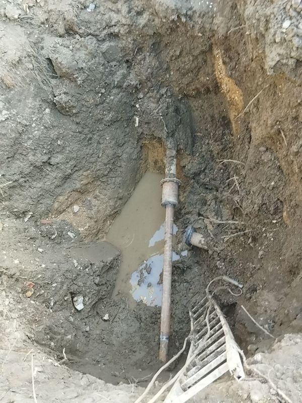 ���� ���������: ������������ ������� �������� ����� �������� � ������������ �� �������� ���������� �� ����������� ����������� ������ ���� � ��������