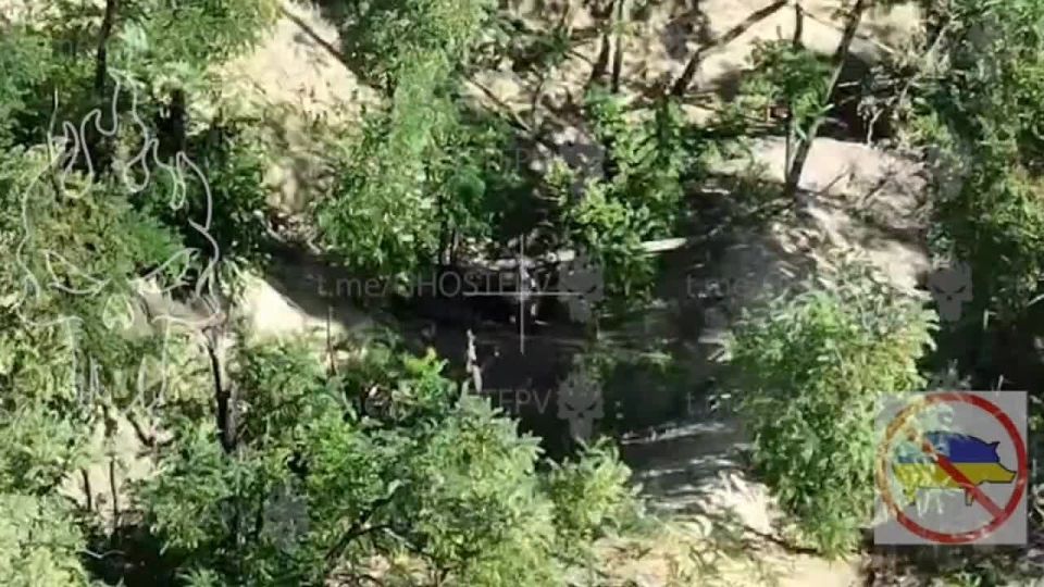  :  ,         132       !