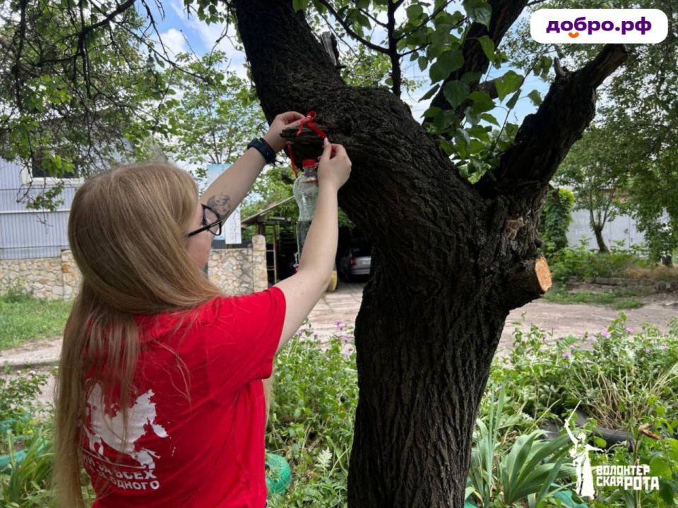 ���� ���������: �������� �������� ������ ����� � �������