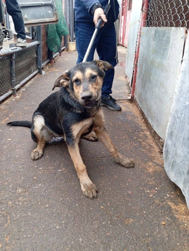 ����� �����: ������������� ��������� ����������� �������л ������������� ���������� ������ �������� �������� �������� ����������