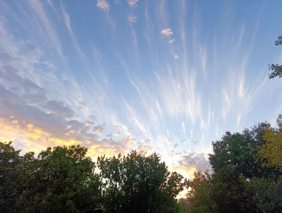 Алексей Гавриш: Небо над Горловкой