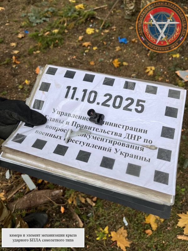 Эдуард Басурин: Украинские боевики вновь обстреляли мирных жителей Донбасса Эдуард Басурин: Украинские боевики вновь обстреляли мирных жителей Донбасса