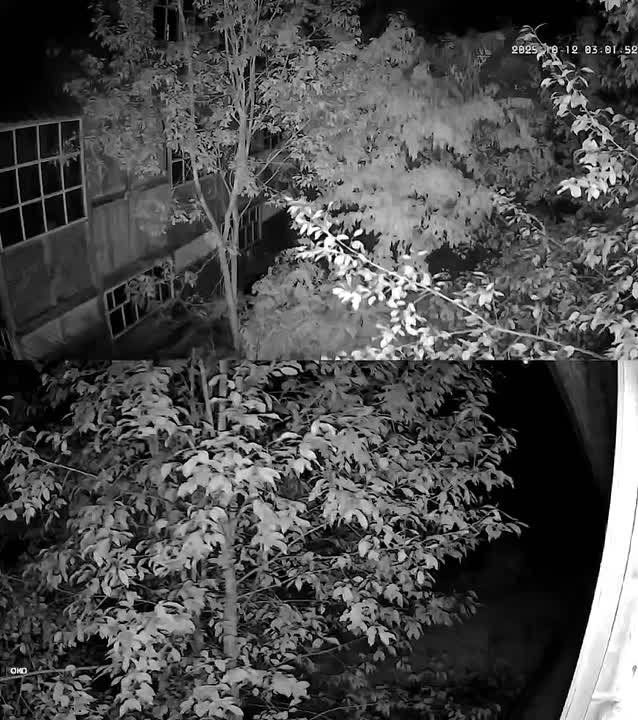 Олег Царёв: Российская ПВО ночью уничтожила 32 украинских БПЛА: по 15 – над Белгородской и Брянской обл, два – над Смоленской