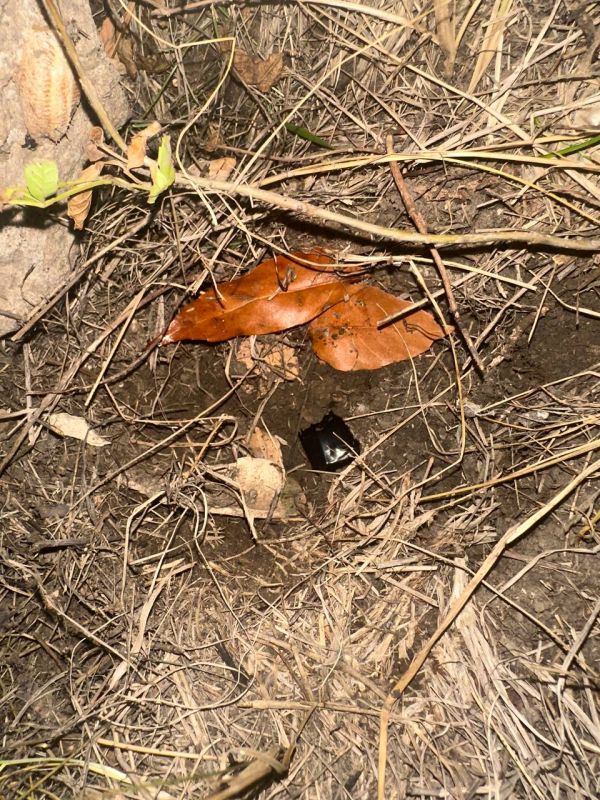 ���������� ������� �������� ���������� ������ ���������� � ������� ����������