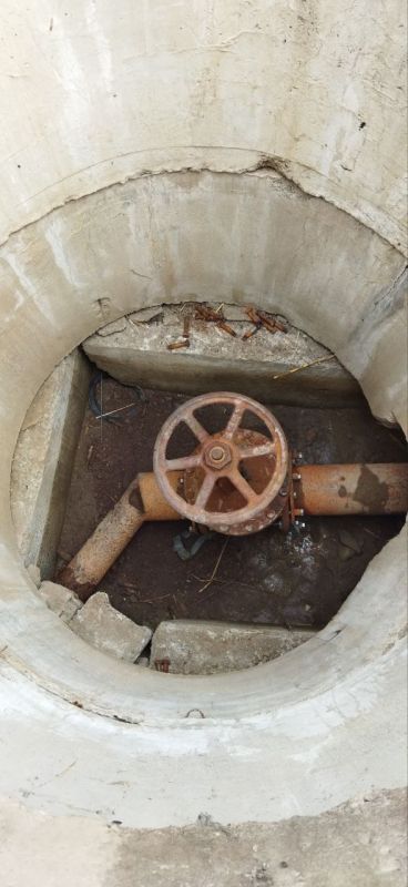 ���� ���������: ������������ ������� �������� ����� �������� � ������������ �� �������� ���������� �� ����������� ����������� ������ ���� � ��������