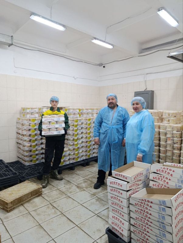 ���� ���������: � �������� ����������� ��������� ������ ������ ������ �������� ����