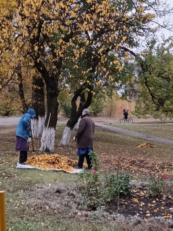 ���� ���������: ��������� ������� ������ ��������������� ���� ����� � ������ ������� ���������� �����