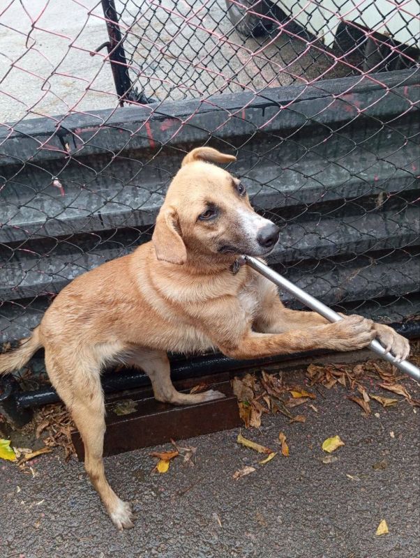 Роман Конев: МУНИЦИПАЛЬНОЕ УНИТАРНОЕ ПРЕДПРИЯТИЕ «ПРОСТОР» АДМИНИСТРАЦИИ ГОРОДСКОГО ОКРУГА ГОРЛОВКА ДОНЕЦКОЙ НАРОДНОЙ РЕСПУБЛИКИ Роман Конев: МУНИЦИПАЛЬНОЕ УНИТАРНОЕ ПРЕДПРИЯТИЕ «ПРОСТОР» АДМИНИСТРАЦИИ ГОРОДСКОГО ОКРУГА ГОРЛОВКА ДОНЕЦКОЙ НАРОДНОЙ РЕСПУБЛИКИ