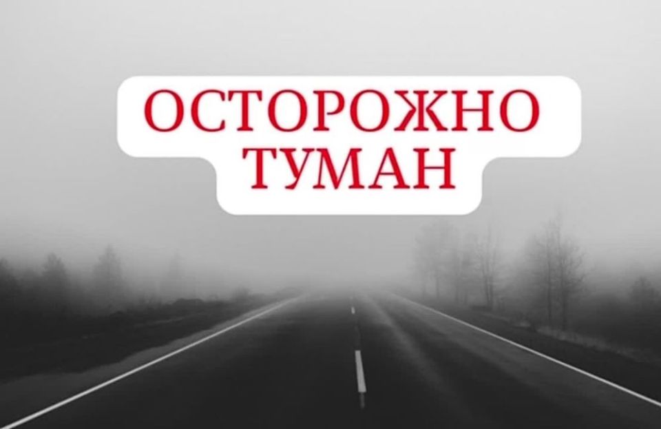 Роман Конев: Безопасность на дороге в туман: Рекомендации для водителей и пешеходов