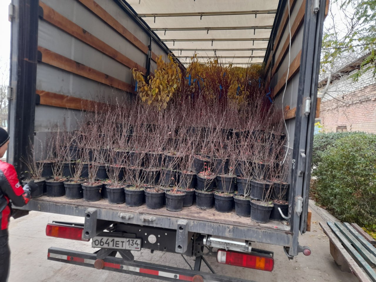 Иван Приходько: Заместитель руководителя аппарата общероссийской общественной организации «Парки России» Дарья Казьмина доставила в Горловку около 900 единиц саженцев, которые в течение недели были высажены в парке культуры... Иван Приходько: Заместитель руководителя аппарата общероссийской общественной организации «Парки России» Дарья Казьмина доставила в Горловку около 900 единиц саженцев, которые в течение недели были высажены в парке культуры...