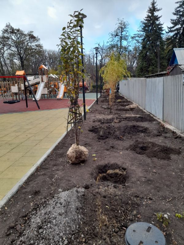 Иван Приходько: Заместитель руководителя аппарата общероссийской общественной организации «Парки России» Дарья Казьмина доставила в Горловку около 900 единиц саженцев, которые в течение недели были высажены в парке культуры... Иван Приходько: Заместитель руководителя аппарата общероссийской общественной организации «Парки России» Дарья Казьмина доставила в Горловку около 900 единиц саженцев, которые в течение недели были высажены в парке культуры...