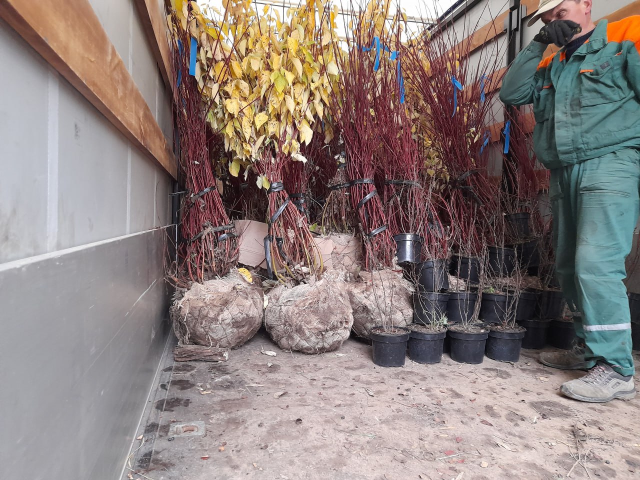 Иван Приходько: Заместитель руководителя аппарата общероссийской общественной организации «Парки России» Дарья Казьмина доставила в Горловку около 900 единиц саженцев, которые в течение недели были высажены в парке культуры... Иван Приходько: Заместитель руководителя аппарата общероссийской общественной организации «Парки России» Дарья Казьмина доставила в Горловку около 900 единиц саженцев, которые в течение недели были высажены в парке культуры...