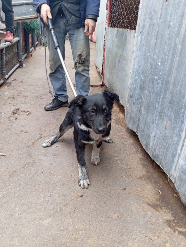 ����� �����: ������������� ��������� ����������� �������л ������������� ���������� ������ �������� �������� �������� ����������