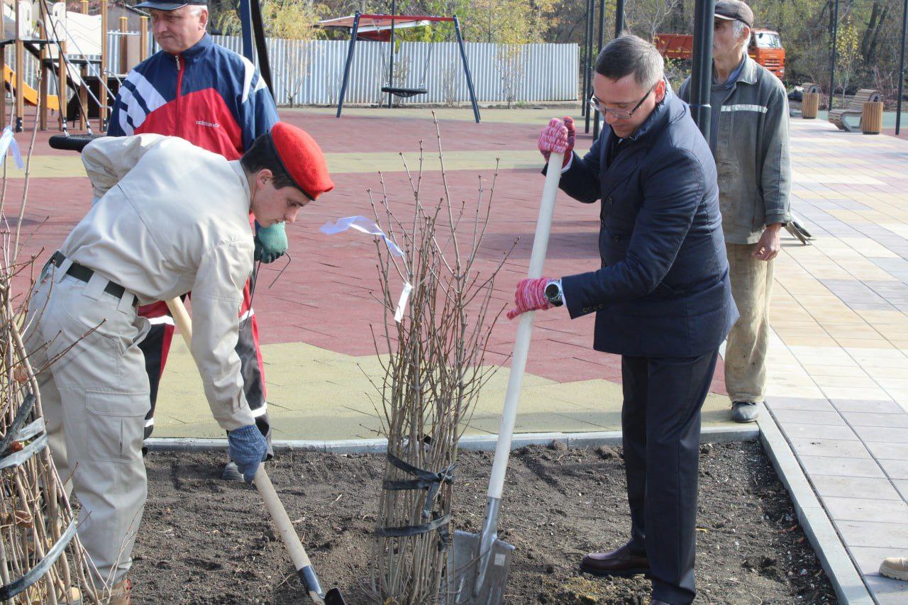 Личный вклад в озеленение Горловки Личный вклад в озеленение Горловки