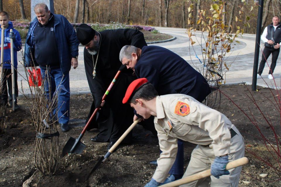 Личный вклад в озеленение Горловки Личный вклад в озеленение Горловки