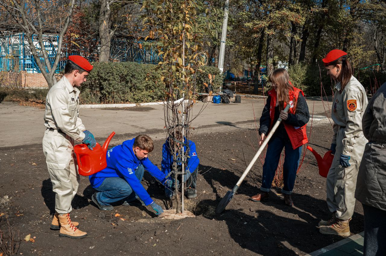 Личный вклад в озеленение Горловки Личный вклад в озеленение Горловки