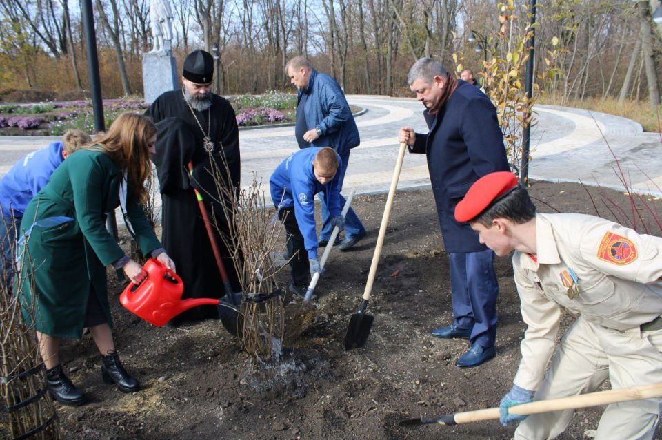 Личный вклад в озеленение Горловки Личный вклад в озеленение Горловки
