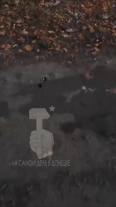 ������ �������� ��������, ��� ����� �� ������� ����������� ����� ���